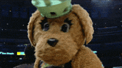 new york liberty dancing GIF by WNBA
