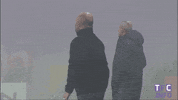 excited ligue 1 GIF by Toulouse Football Club