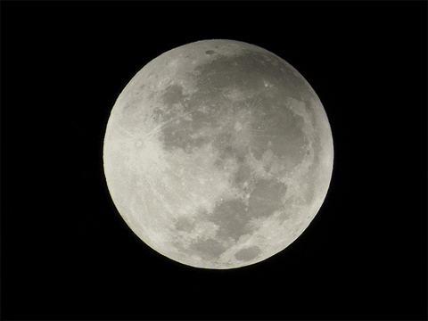 moon eclipse GIF