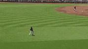 Cws GIF by Stanford Athletics