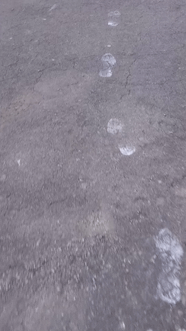 Simongip giphygifmaker GIF