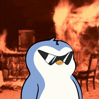 pudgypenguins fire penguin pudgy pudgypenguins GIF