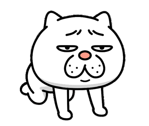 Sorry Cat Sticker