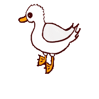 Ducks Sticker