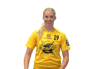 Floorball Salibandy Sticker by F-liiga