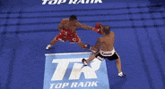 toprank fight boxing fighting espn GIF