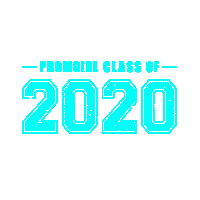 Class Of 2020 Rated Pg Sticker by PromGirl