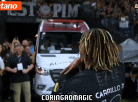 Santos Fc Futebol GIF