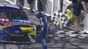 nascar win winning nascar bristol GIF