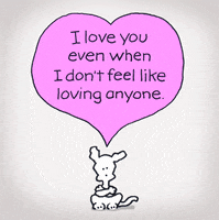 Love You Ily GIF by Chippy the Dog