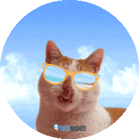 tatilibaslat holidays summertime tatil tatilibaşlat Sticker