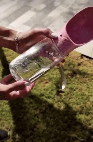 nahueldiazf1552740ac4246eabbaf132b1d6caad4 giphyupload GIF