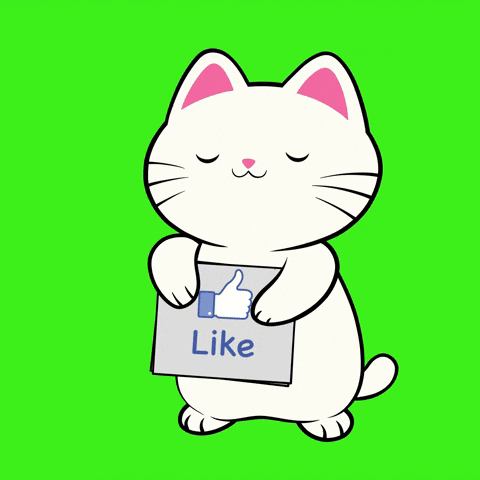 Like and Subscribe!