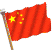 china STICKER