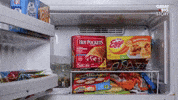 Stop Motion Freezer GIF by Marcie LaCerte
