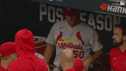 Mlb Postseason Baseball GIF by MLB