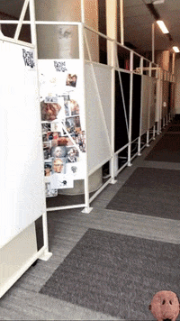 Lab Onf GIF by Alex Boya