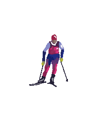 Sport Ski Sticker by diffrent design
