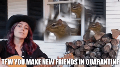 sciencewithsophie giphygifmaker country music quarantine chipmunks GIF