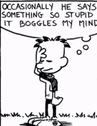 Niche GIF