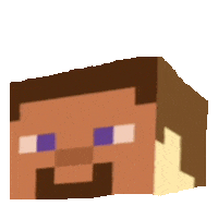 minecraft GIF by imoji