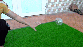 ExperimenMeatGrinder funny candy meat experiment GIF
