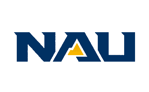 College Arizona Sticker by NAUADV