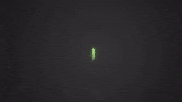 Diversification GIF