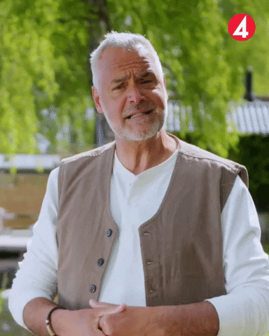 Ernst Kirchsteiger Help GIF by TV4