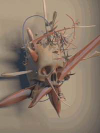 skull medicine GIF by Martin Onassis
