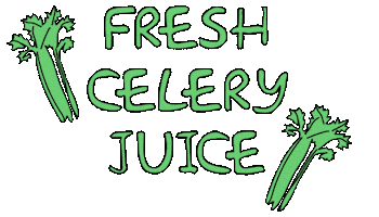 Juice Celery Sticker by MOD Appliances