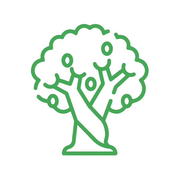 Elaisian agricultura agriculture olive arbol Sticker