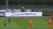 Musso GIF by nss sports