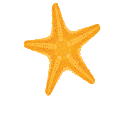 panhandlegetaways vacation starfish 30a pcb Sticker