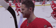 Wrestle ice hockey GIF by NHL
