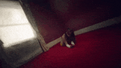Messy Room Niki Gabi GIF by nikidemar