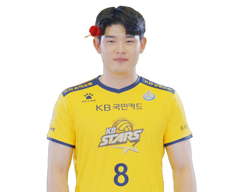 Kb스타즈 Sticker by KB STARS VOLLEYBALL CLUB