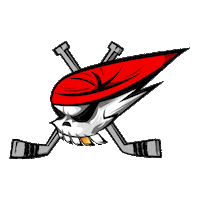logo pirati Sticker by Piráti Chomutov
