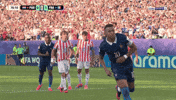 France Football GIF