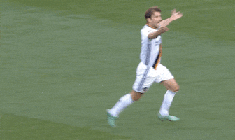mike magee soccer GIF by LA Galaxy