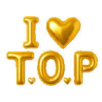 Choi Seunghyun Top Sticker