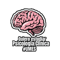 Umes Sticker by Universidad Mesoamericana