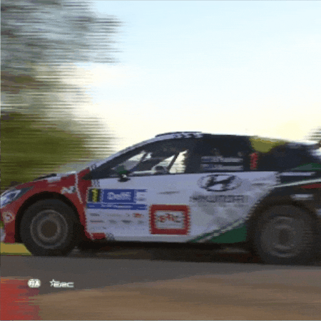 Moment Driving GIF by FIA European Rally Championship
