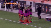 Goal Hold It Down GIF by Houston Dash