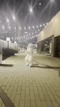 Fursuiter GIF