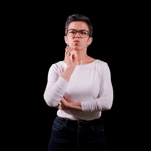 Czech Republic Cesko GIF by Česká pirátská strana