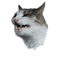Angry Cat Sticker