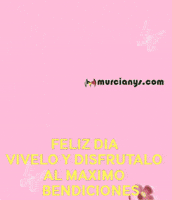 Amigos Flores GIF by Murcianys LLC