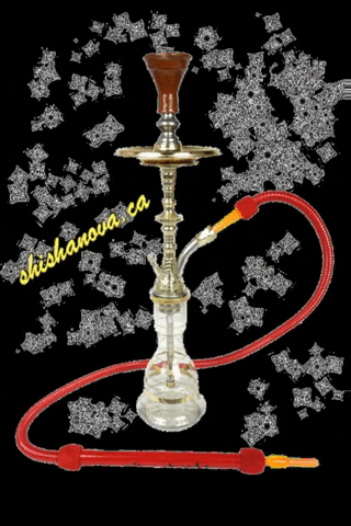 ShishaNova giphygifmaker smoke shisha hookah GIF