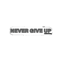 Never Give Up Bassfishing Sticker by Mike Iaconelli